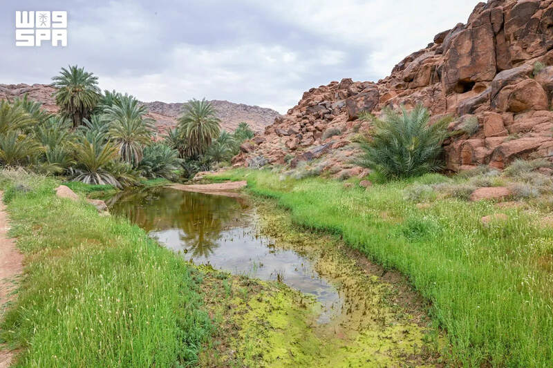 Salma Geopark Showcases Hail’s Geological Wonders and Historic Heritage